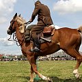 IX Piknik Kawaleryjski w Suwałkach #kawaleria #PiknikKawaleryjski #Suwałki #konie