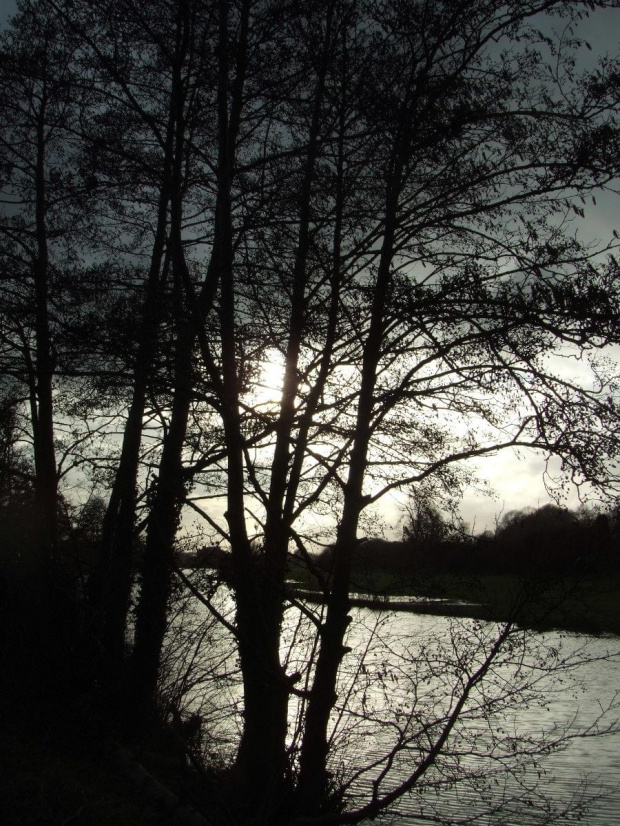 Nad rzeka Lea #Anglia #rzeka #Lea #widoki