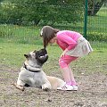 boerboel Gdańsk Shek Xantiland i Oliwia