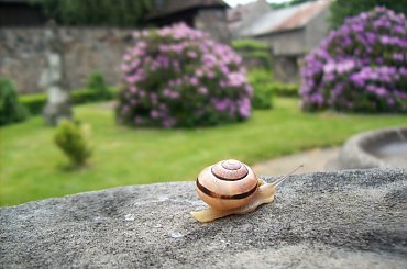 Pozdrawiam Was już weekendowo :)) #ZamekCzocha