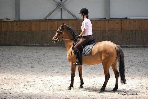 2009.07.04 Egzamin na odznak i- Stodoły trening