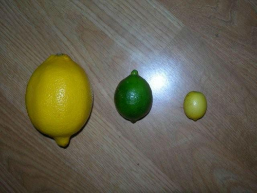 Owoc porówn. wielkości