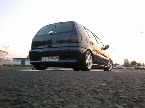 polo 6n