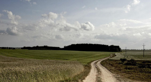 Bory Tucholskie i okolice #bory #tucholskie #mojebory #krajobraz #przyroda #pola