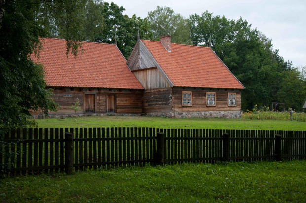 Zdjęcie konkursowe