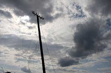 #Bralin #lato #łąki #kwiaty #zboże #owady