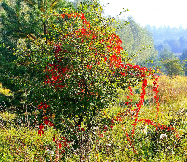 MAZURY JESIENIĄ #JESIENNEKLIMATY