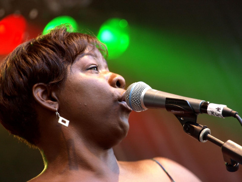 Wanda Johnson at Suwalki Blues Festival #SuwałkiBluesFestiwal #Suwałki #koncert #muzyka #WandaJohnson