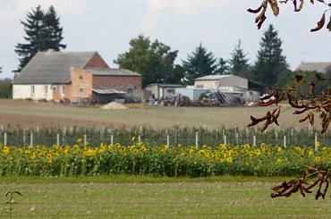 jesienny krajobraz #jesień #Morzewiec