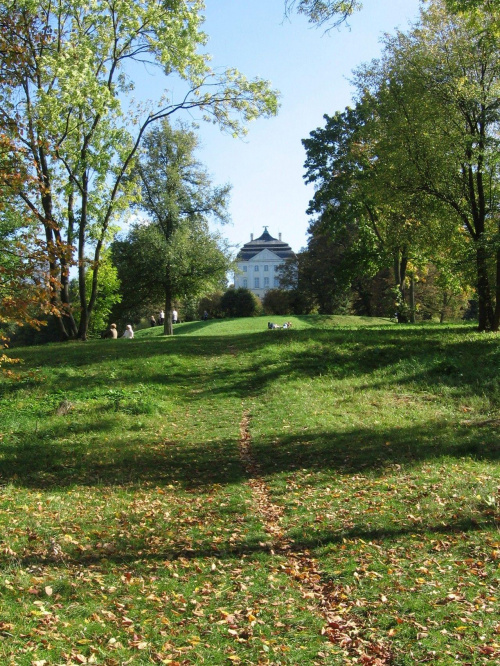 Zdjęcie konkursowe