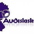 audi Slask #audi #AudiA4 #AudiA4ClubPolska #AudiSlask