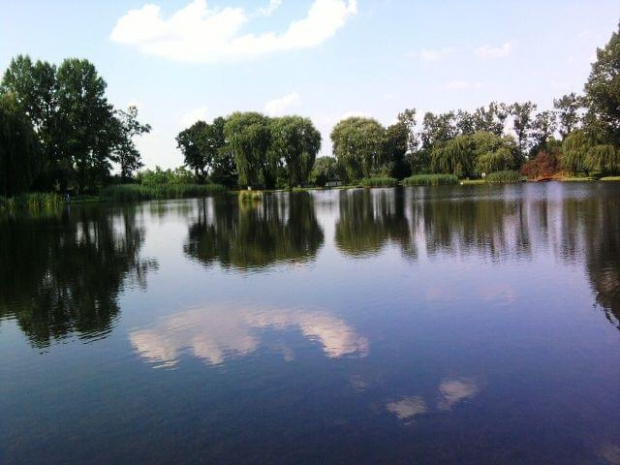 ...słoń w zielonym ubranku...