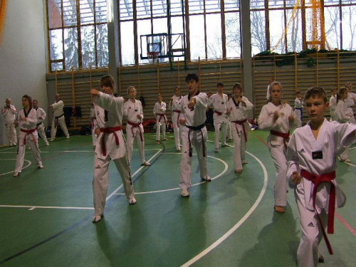 seminarium z MIstrzem Kang Cheol In 7 dan #taekwondo #tkd #walka #zawody