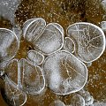 Komórki macierzyste #lód #woda #powietrze #mróz