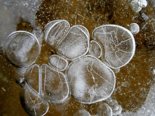 Komórki macierzyste #lód #woda #powietrze #mróz