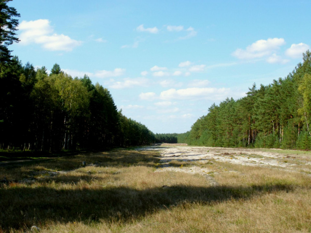 bory dolnośląskie