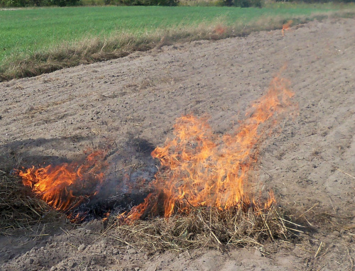 anatomia płomienia #płomień #płomienia #ogień #PaliSię #gorąco #anatomia