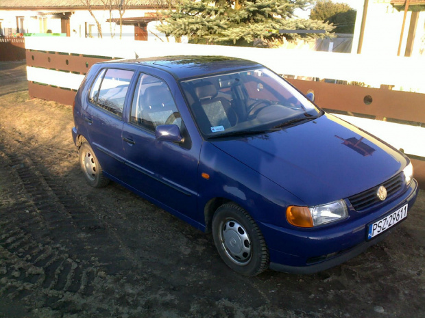 Polo