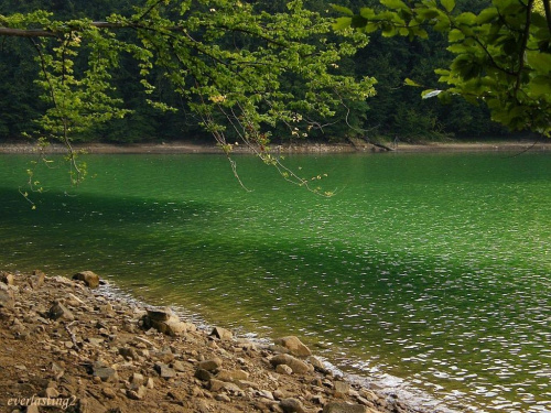 Sztuczne Jezioro Solińskie