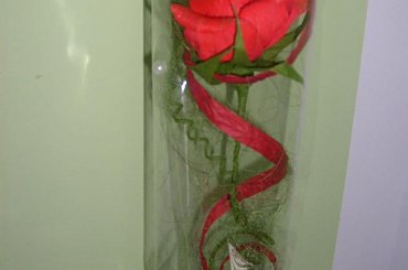 #bibuła #bukiety #krepina #kwiaty #róże