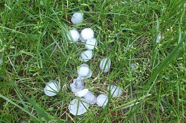 tuż po gradzie #grad