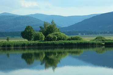 #przyroda #natura