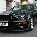 #Shelby