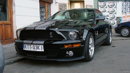 #Shelby