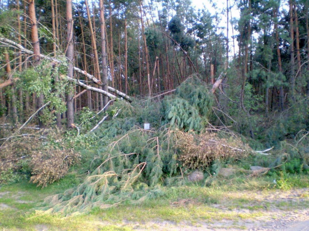 Smogorzewo i najbliższe okolice