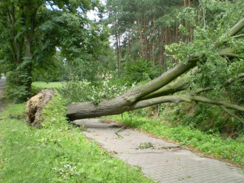 Między Strzelcami Wielkimi a Piaskami