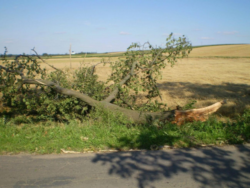 Talary i najbliższe okolice