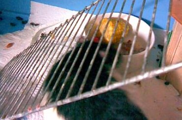 Artur, Lijam. #lijam #liam #artur #art