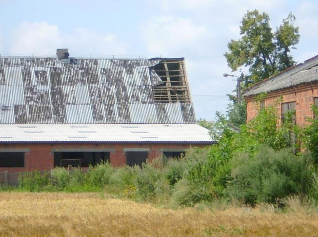 Lipie po nawałnicy