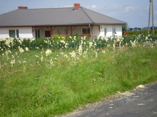 Strzelce Małe i najbliższe okolice po nawałnicy z 23 lipca ...