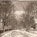 Duszki - Zdrój_Fragment uzdrowiska