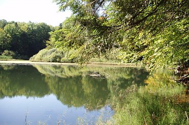 #chryszczata #góry #las #rower #wyprawa