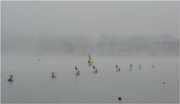 #JesiennaMgła #jezioro #Ostróda #Mazury