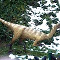 Dinozaur, Jura Park Bałtów ;) #JuraPark #Bałtów #dinozaury