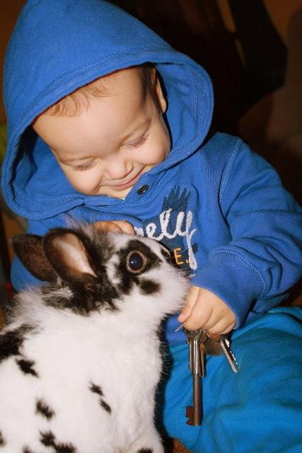 :) #dziecko #królik #zabawa