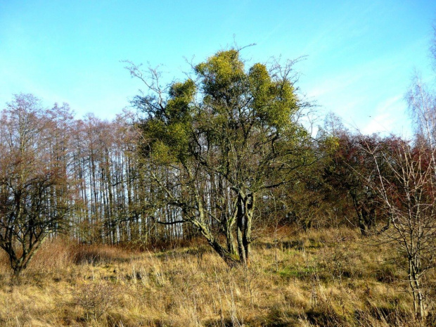 rózne foto #MAZURY