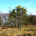 rózne foto #MAZURY