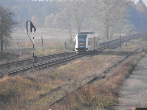 Szynobus SA133-006 odjeżdżający ze stacji Sarbiewo w kierunku Gorzowa Wlkp., godz. 09:05, 26.10.2008 r.