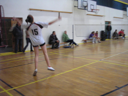 Badminton 2009