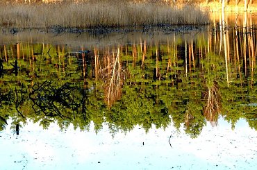 ODBICIA W WODZIE #ODBICIA