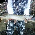 pike of river