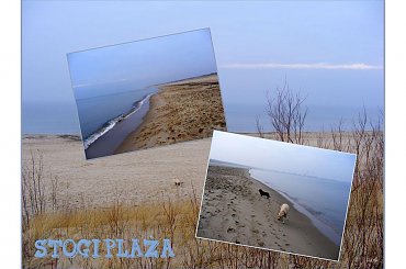 Plaża w grudniu, mglisto, mokro i pusto #grudzień #plaża #Gdańsk #widok