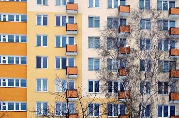 1szy Stycznia #Warszawa #blok #brzoza