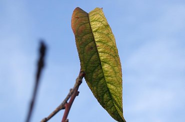 Listopad #PrzyrodaRochowczykFranciszek