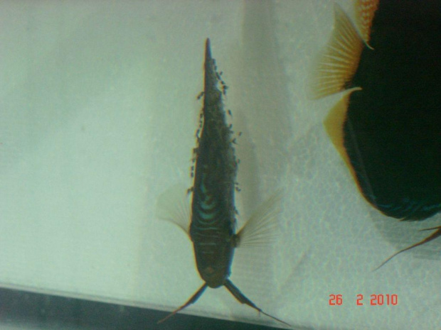27.02.2010