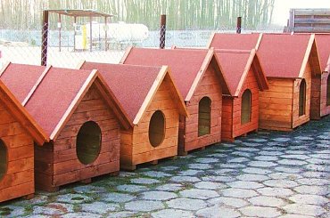 Budy dla psów www.marczak.pl #BudyDlaPsa #BudyDlaPsów #budki #mazowieckie #warszawa #zpd